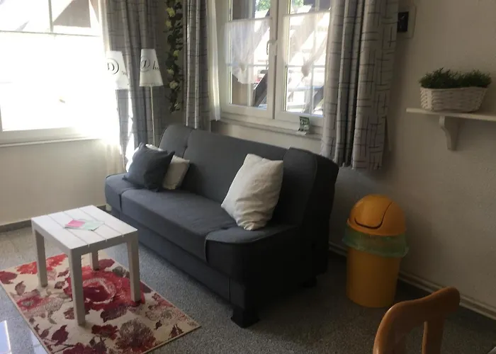 Rosi Stoppa بورغ